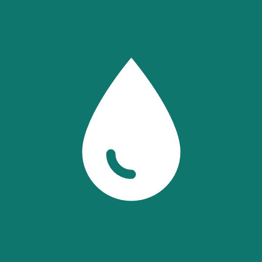 CarConso logo