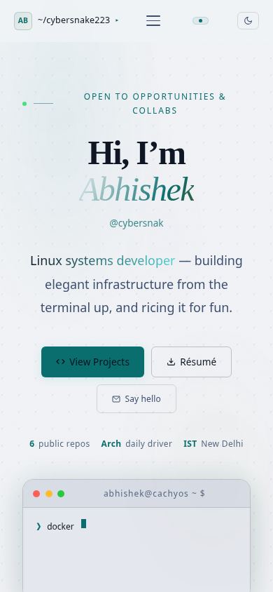 Abhishek Aryan — Linux Developer mobile preview captured by PWAs.app