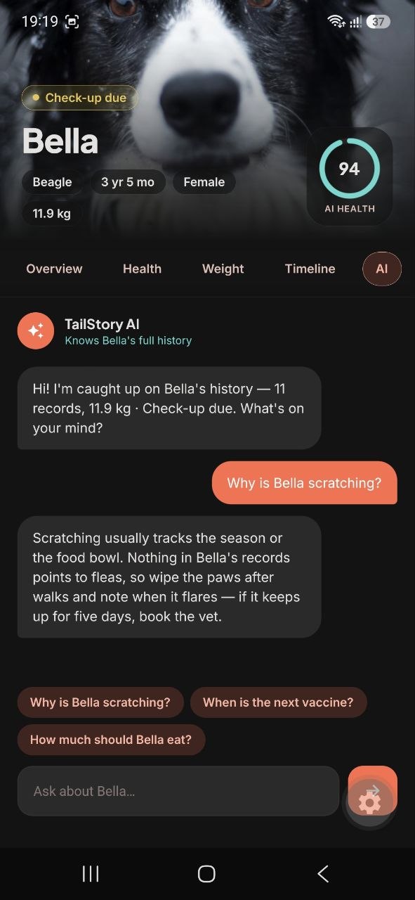 TailStory AI chat