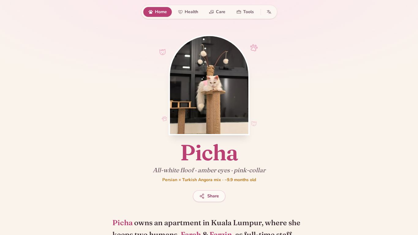 Picha 🐾 desktop preview captured by PWAs.app
