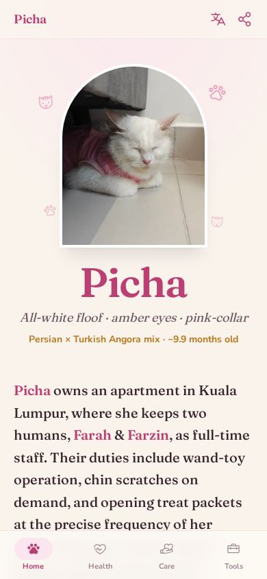 Picha 🐾 mobile preview captured by PWAs.app