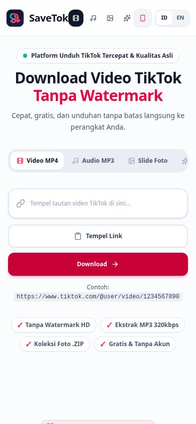 SaveTok - TikTok Downloader mobile preview captured by PWAs.app