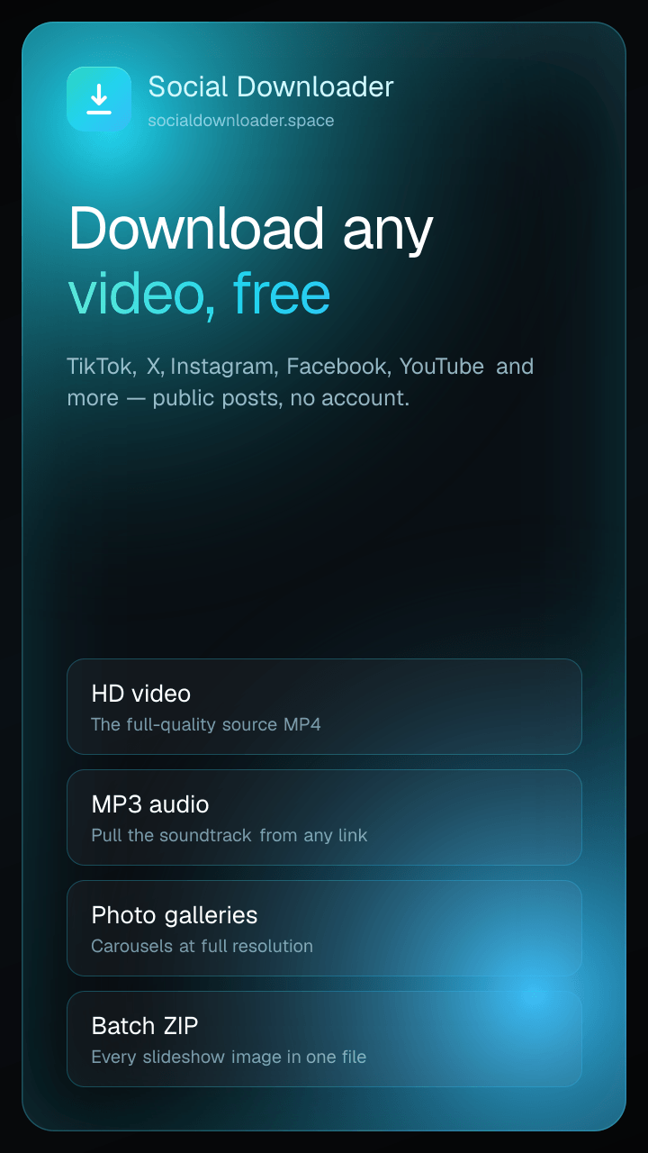 Paste a TikTok, X, Instagram, Facebook, or YouTube link to download video, audio, or slideshow images.